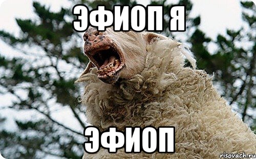 эфиоп я эфиоп