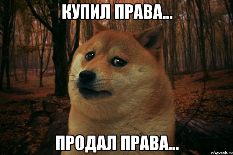 купил права... продал права..., Мем SAD DOGE