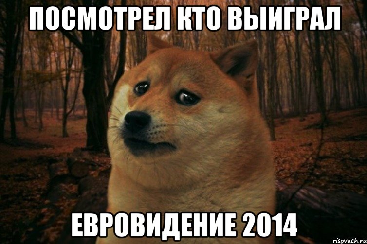 посмотрел кто выиграл евровидение 2014, Мем SAD DOGE