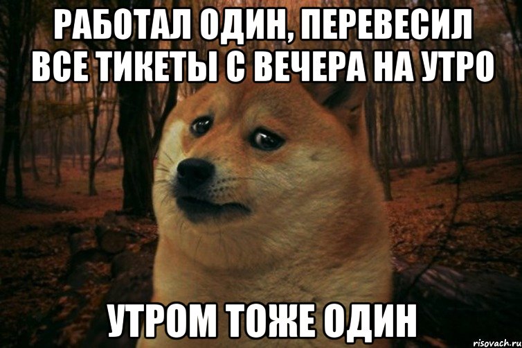 работал один, перевесил все тикеты с вечера на утро утром тоже один, Мем SAD DOGE