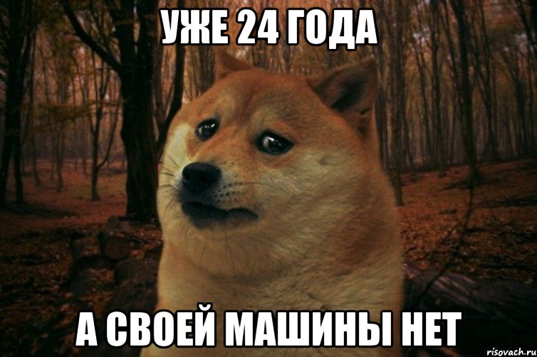 УЖЕ 24 ГОДА А СВОЕЙ МАШИНЫ НЕТ, Мем SAD DOGE