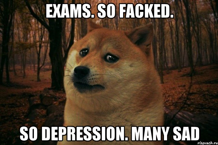 Exams. So facked. So depression. Many sad, Мем SAD DOGE