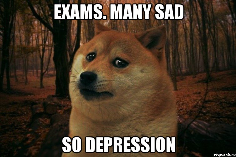 Exams. Many sad So depression, Мем SAD DOGE