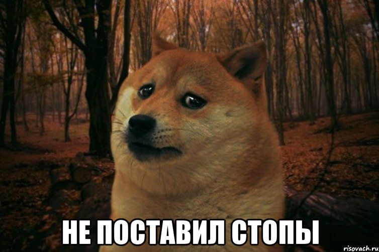  не поставил стопы, Мем SAD DOGE