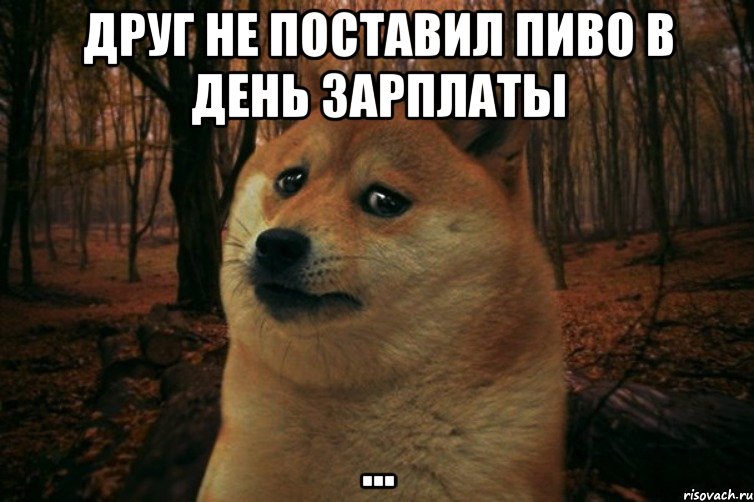 Друг не поставил пиво в день зарплаты ..., Мем SAD DOGE