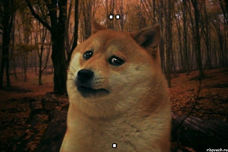 . . ., Мем SAD DOGE