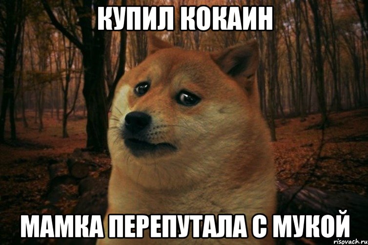 Купил кокаин Мамка перепутала с мукой, Мем SAD DOGE