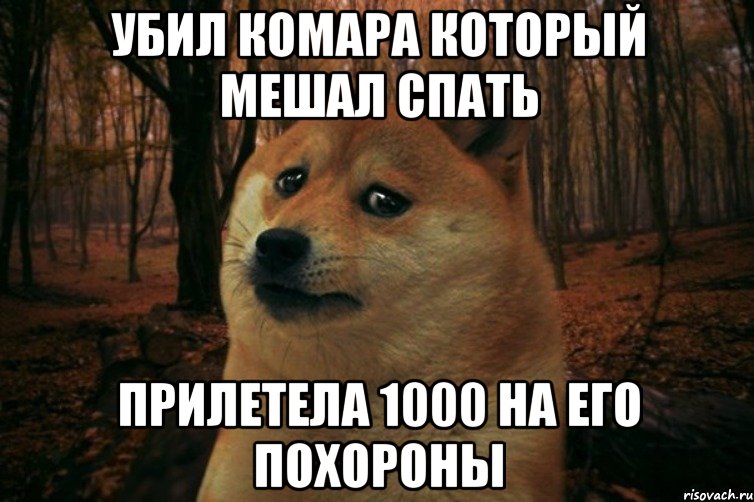 Убил комара который мешал спать Прилетела 1000 на его похороны, Мем SAD DOGE