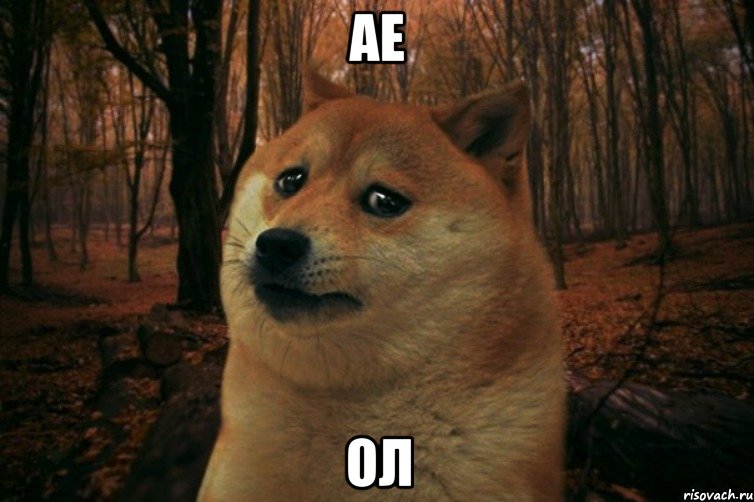 ае ол, Мем SAD DOGE