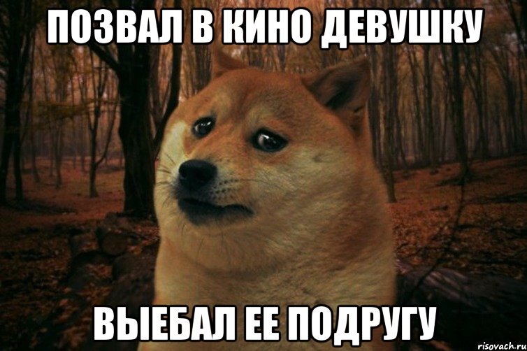 ПОЗВАЛ В КИНО ДЕВУШКУ ВЫЕБАЛ ЕЕ ПОДРУГУ, Мем SAD DOGE