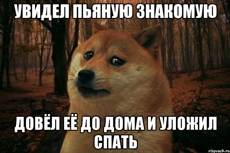 увидел пьяную знакомую довёл её до дома и уложил спать, Мем SAD DOGE