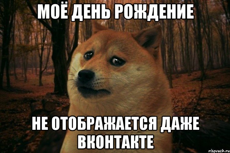 моё день рождение не отображается даже вконтакте, Мем SAD DOGE