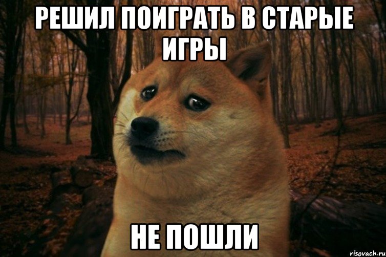 Решил поиграть в старые игры Не пошли, Мем SAD DOGE