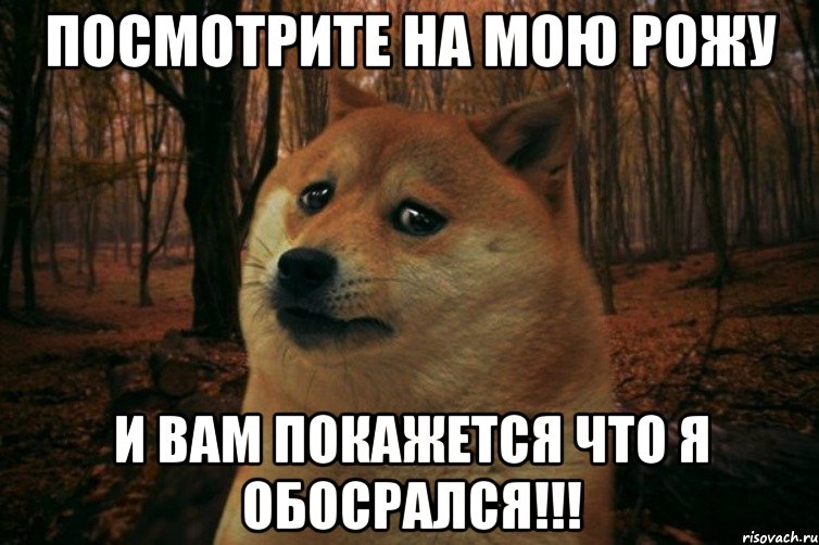 Посмотрите на мою рожу И вам покажется что я обосрался!!!, Мем SAD DOGE