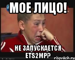 Мое лицо! Не запускается ETS2MP?, Мем  Сашок Фокин