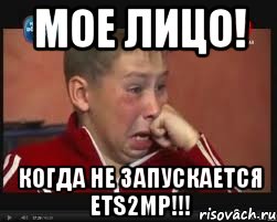 Мое лицо! Когда не запускается ETS2MP!!!, Мем  Сашок Фокин