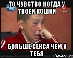 То чувство когда у твоей кошки Больше секса чем у тебя, Мем  Сашок Фокин