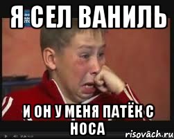 Я СЕЛ ВАНИЛЬ И ОН У МЕНЯ ПАТЁК С НОСА, Мем  Сашок Фокин