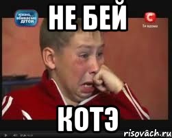 не бей котэ, Мем  Сашок Фокин