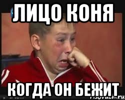 Лицо Коня Когда он бежит, Мем  Сашок Фокин