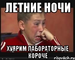 Летние ночи хуярим лабораторные короче, Мем  Сашок Фокин