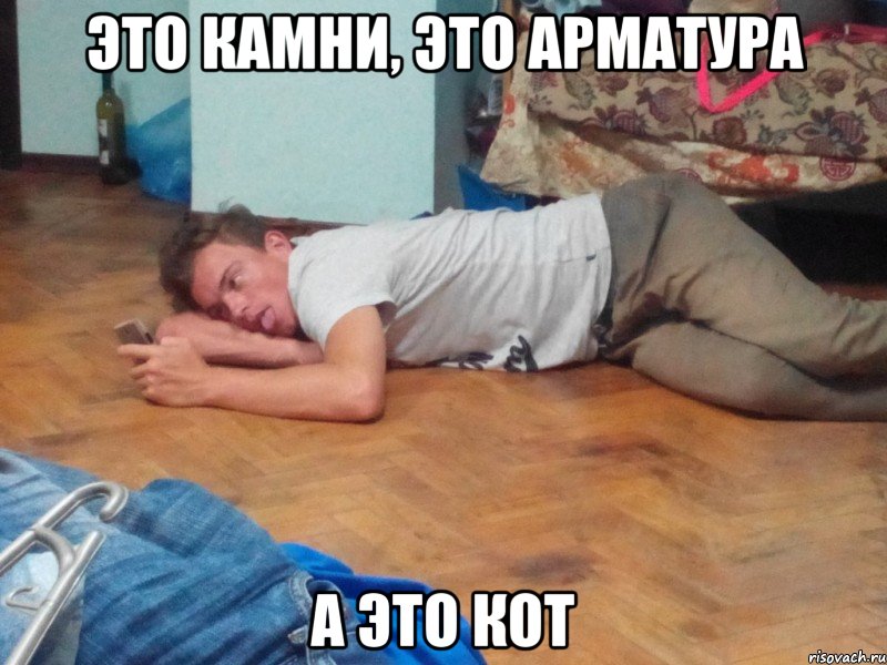 Это камни, это арматура а это кот
