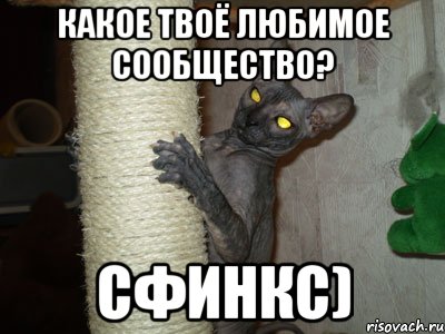 Какое твоё любимое сообщество? Сфинкс)