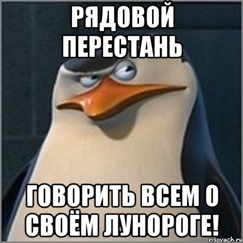 Рядовой перестань говорить всем о своём лунороге!, Мем шкипер