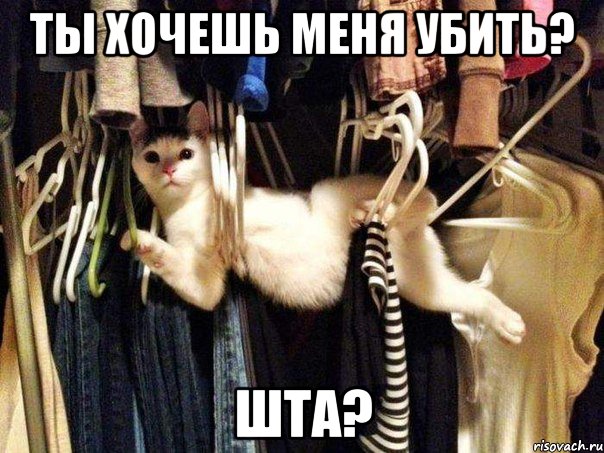 Ты хочешь меня убить? Шта?, Мем ШТО