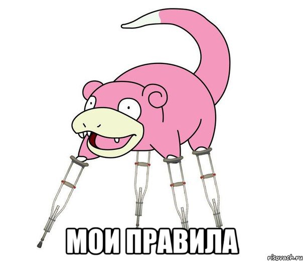  мои правила