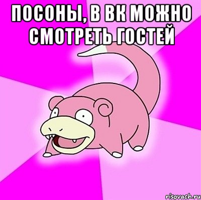 Посоны, в ВК можно смотреть гостей , Мем слоупок