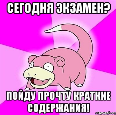 Сегодня экзамен? Пойду прочту краткие содержания!, Мем слоупок