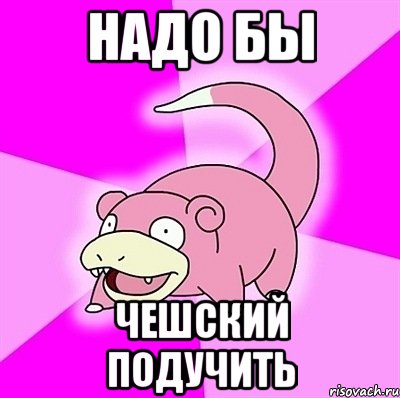 Надо бы чешский подучить, Мем слоупок