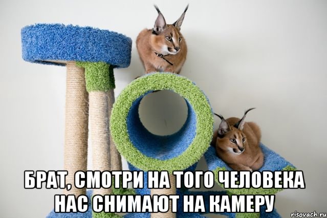  брат, смотри на того человека нас снимают на камеру, Мем смотри в камеру брат