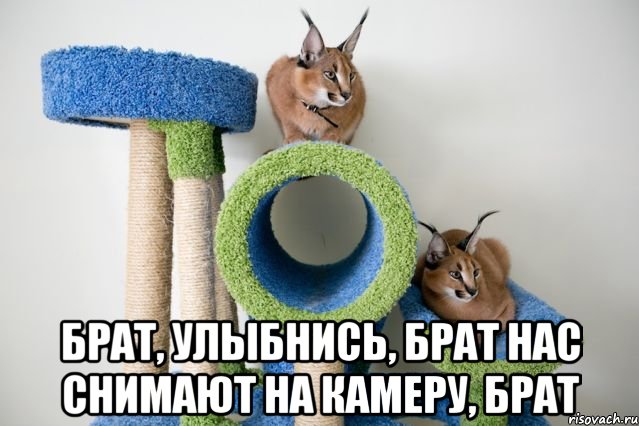  брат, улыбнись, брат нас снимают на камеру, брат, Мем смотри в камеру брат