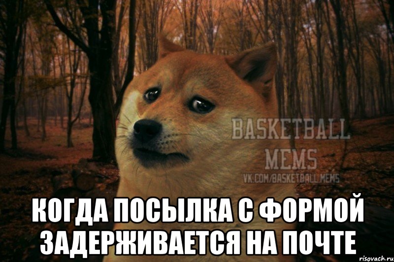  когда посылка с формой задерживается на почте, Мем Собака Basletball Mems