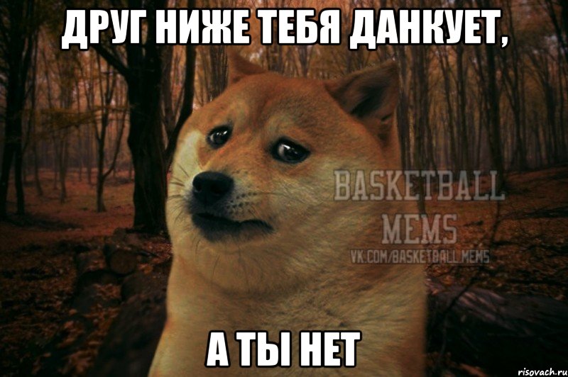 Друг ниже тебя данкует, а ты нет, Мем Собака Basletball Mems