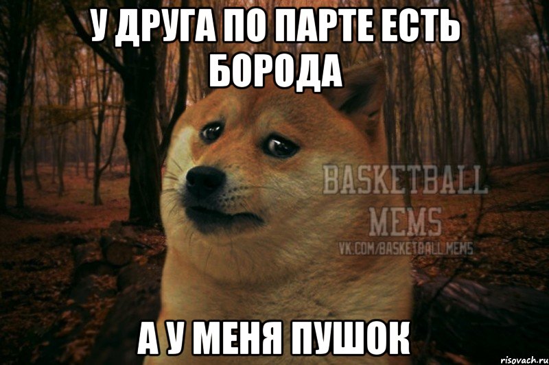 у друга по парте есть борода а у меня пушок, Мем Собака Basletball Mems