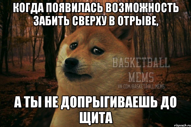 когда появилась возможность забить сверху в отрыве, а ты не допрыгиваешь до щита, Мем Собака Basletball Mems