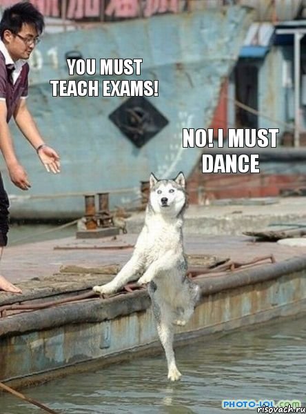 you must teach exams! no! I must dance, Комикс   собака я должен танцевать