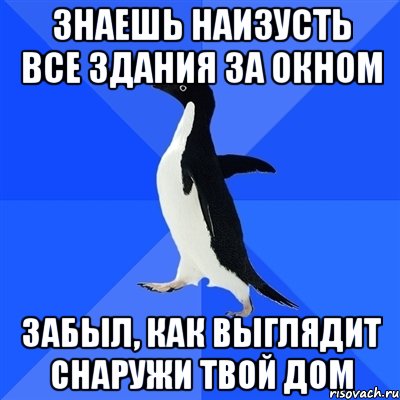 знаешь наизусть все здания за окном забыл, как выглядит снаружи твой дом, Мем  Социально-неуклюжий пингвин