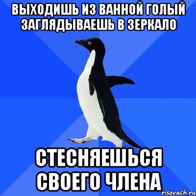 Выходишь из ванной голый заглядываешь в зеркало Стесняешься своего члена, Мем  Социально-неуклюжий пингвин