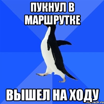 Пукнул в маршрутке Вышел на ходу, Мем  Социально-неуклюжий пингвин