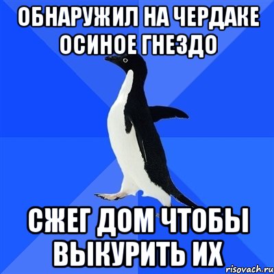 Обнаружил на чердаке осиное гнездо Сжег дом чтобы выкурить их, Мем  Социально-неуклюжий пингвин