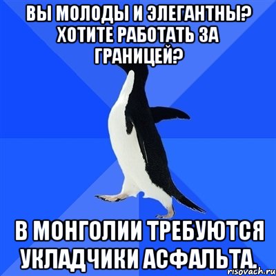 Вы молоды и элегантны? Хотите работать за границей? В Монголии требуются укладчики асфальта., Мем  Социально-неуклюжий пингвин