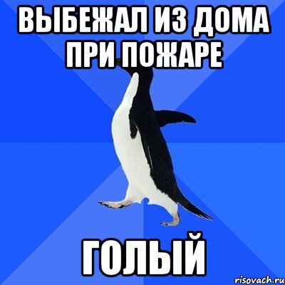 выбежал из дома при пожаре голый, Мем  Социально-неуклюжий пингвин