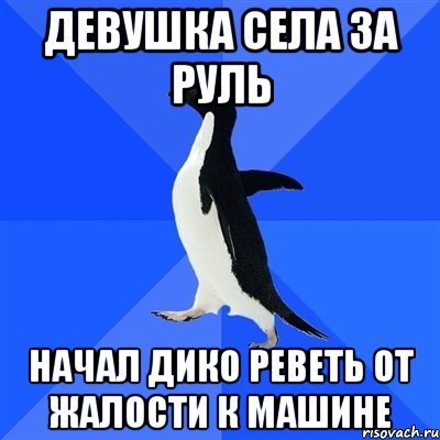 Девушка села за руль Начал дико реветь от жалости к машине, Мем  Социально-неуклюжий пингвин