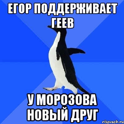 Егор поддерживает геев у Морозова новый друг, Мем  Социально-неуклюжий пингвин