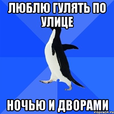 Люблю гулять по улице Ночью и дворами, Мем  Социально-неуклюжий пингвин