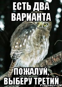 Есть два варианта Пожалуй, выберу третий